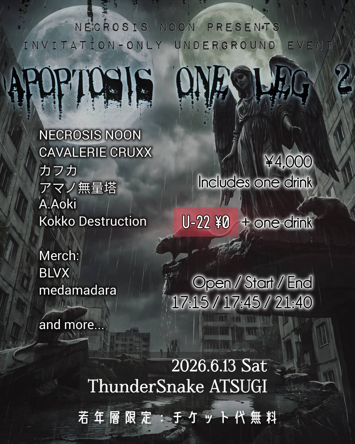 APOPTOSIS ONE LEG 2 フライヤー 2
