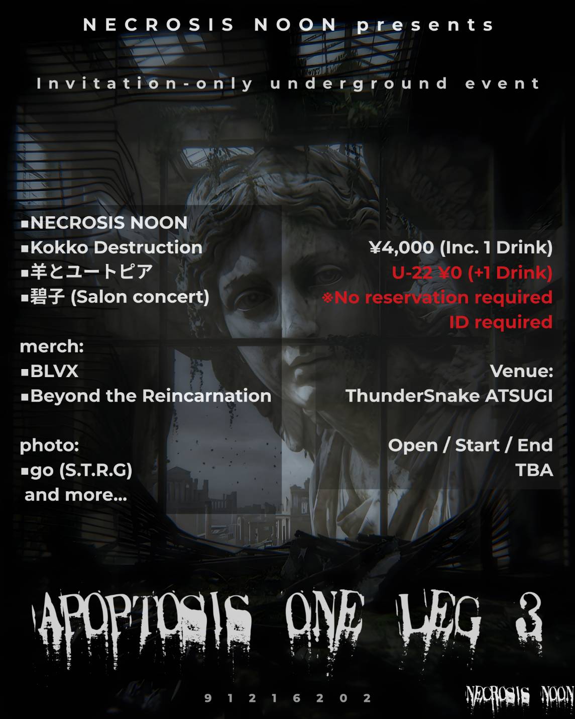 APOPTOSIS ONE LEG 3 フライヤー 1