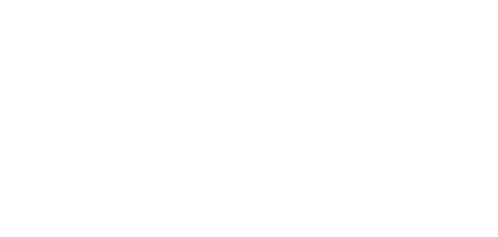 Kokko Destruction Logo